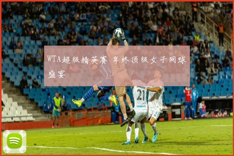 WTA超级精英赛 年终顶级女子网球盛宴