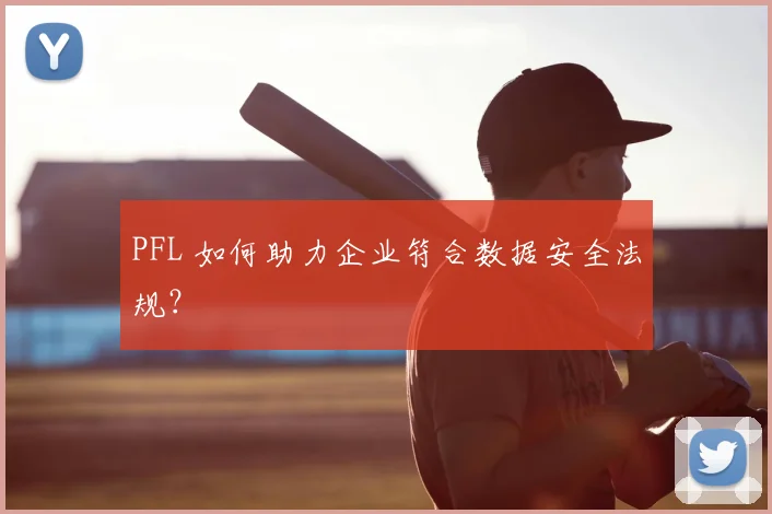 PFL 如何助力企业符合数据安全法规？