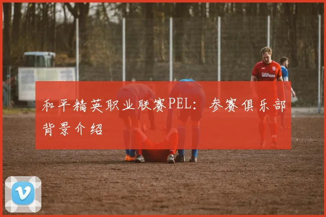 和平精英职业联赛PEL：参赛俱乐部背景介绍