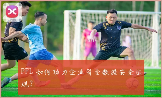 PFL 如何助力企业符合数据安全法规？